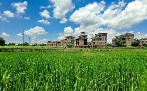 蜜桃AV无码人妻发展前景