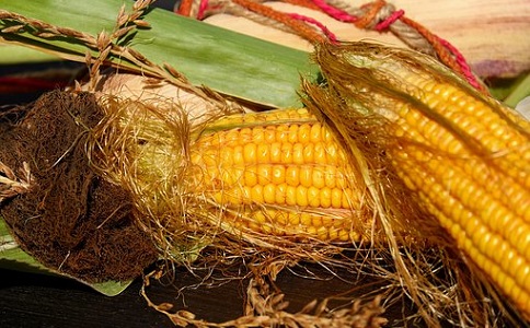 种玉米用什么水蜜桃成人网好