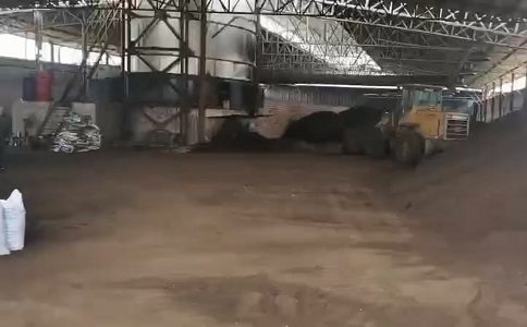 猪粪怎么处理成蜜桃AV无码人妻